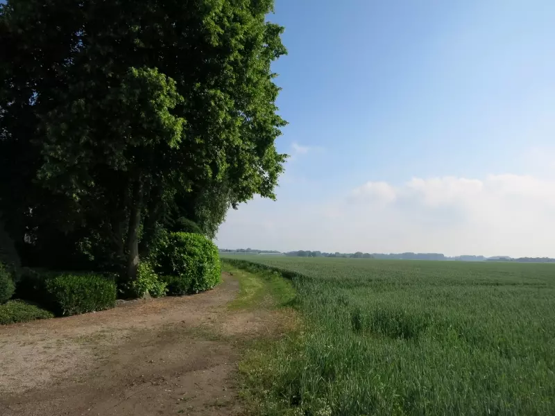 Weg durch Felder