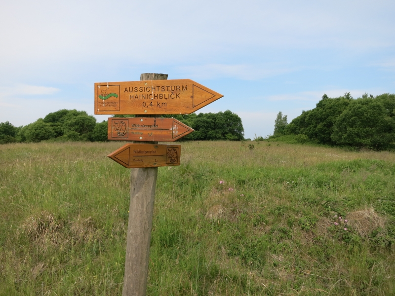 Wegweiser im Hainich